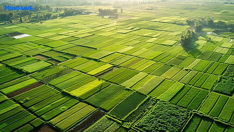 Salasar Unnati